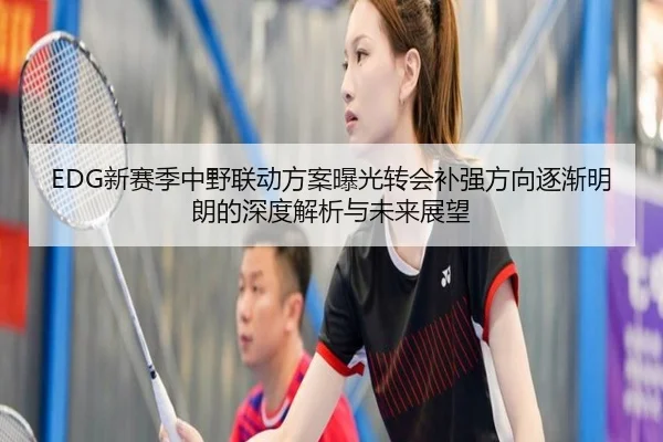 EDG新赛季中野联动方案曝光转会补强方向逐渐明朗的深度解析与未来展望